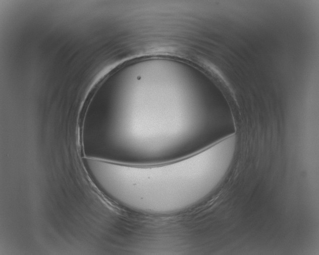 X0000051861324200506240952