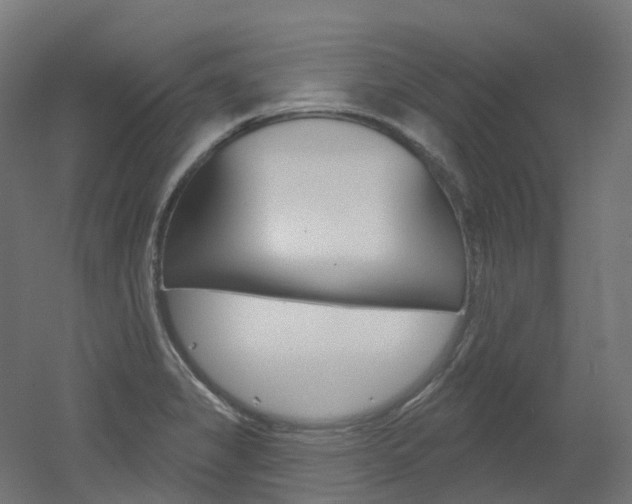X0000051861325200506240952