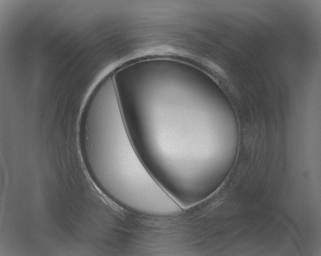 X0000051861326200506240952