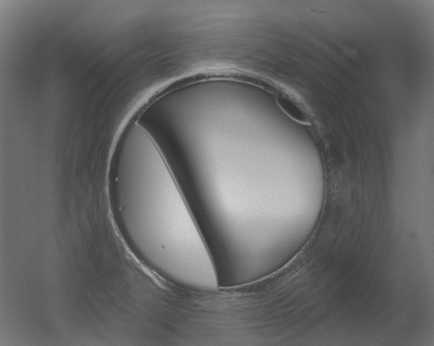X0000051861327200506240952