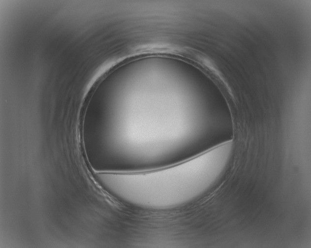 X0000051861328200506240952