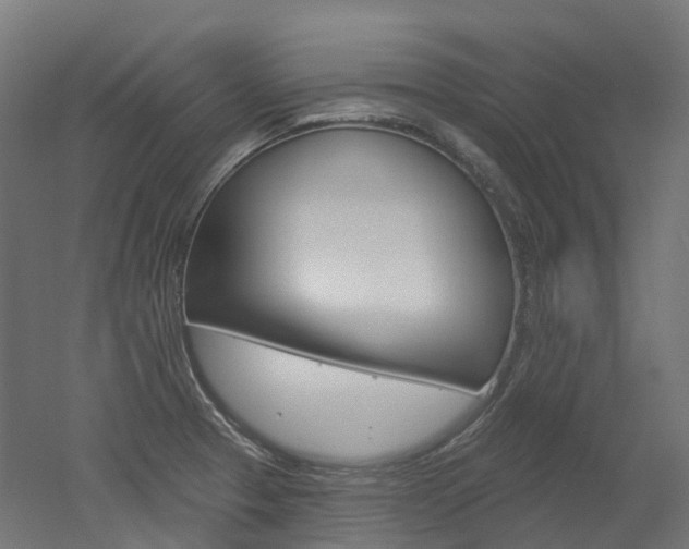 X0000051861329200506240952