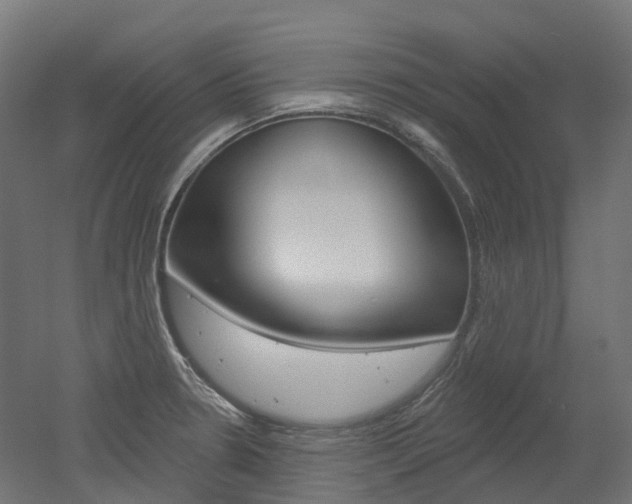X0000051861330200506240952