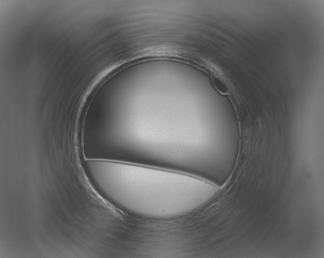 X0000051861331200506240952