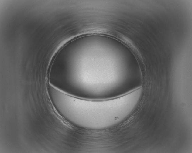 X0000051861332200506240952