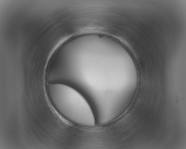 X0000051861333200506240952