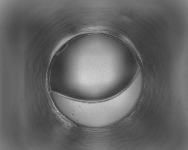 X0000051861336200506240952