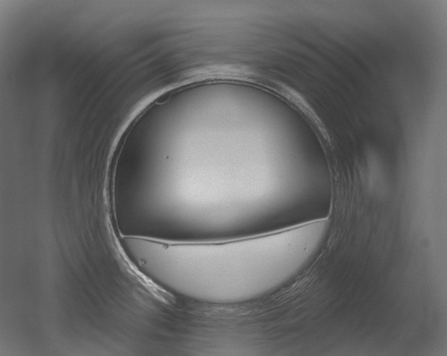 X0000051861339200506240952