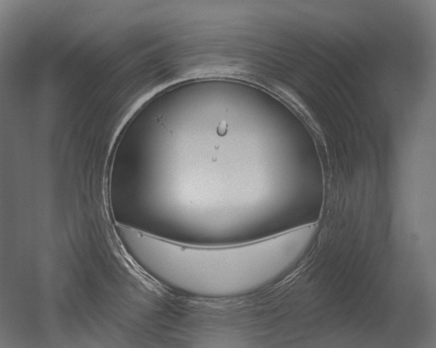 X0000051861340200506240952