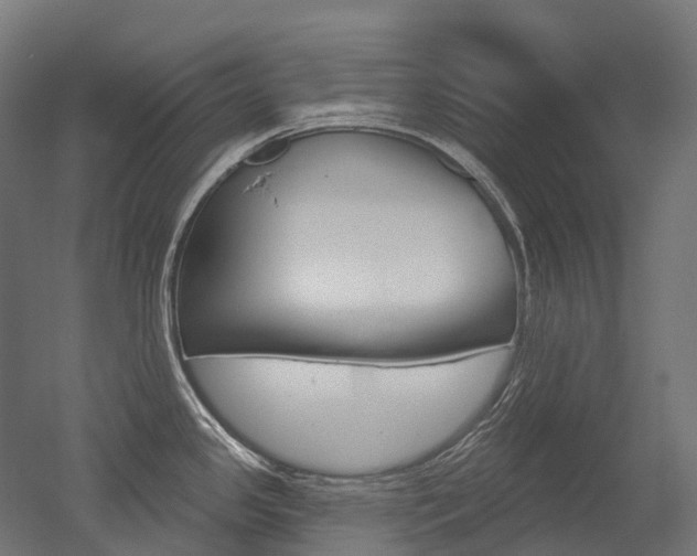 X0000051861341200506240952