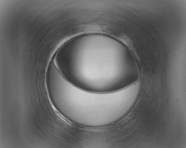 X0000051861342200506240952