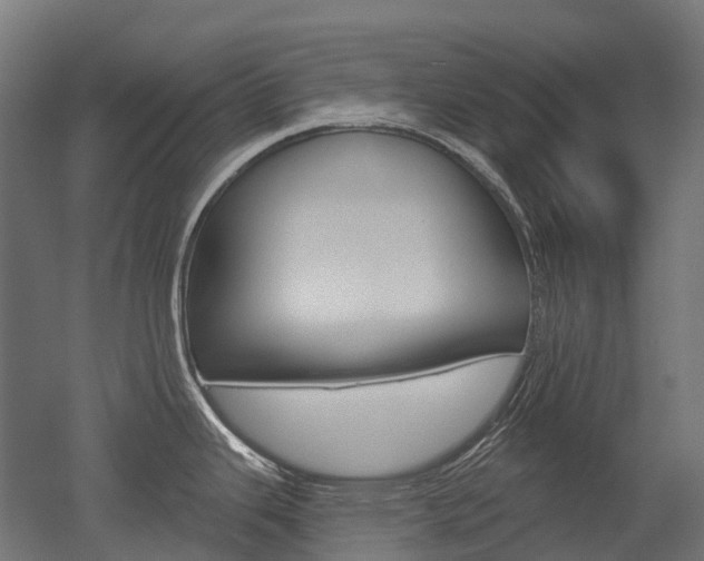 X0000051861343200506240952
