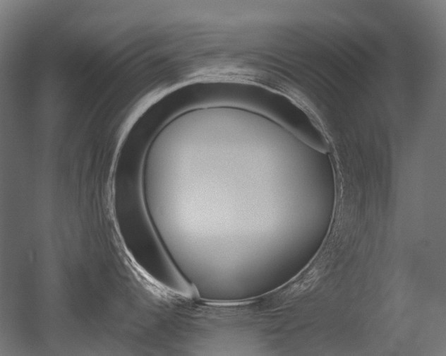 X0000051861344200506240952