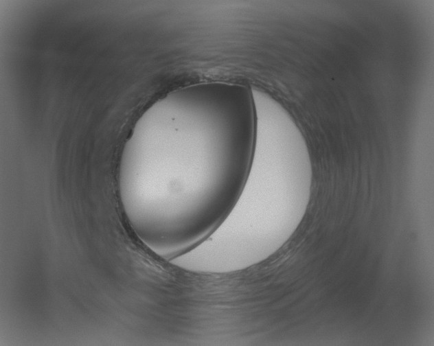 X0000051861345200506240951