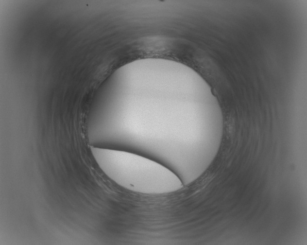 X0000051861346200506240951