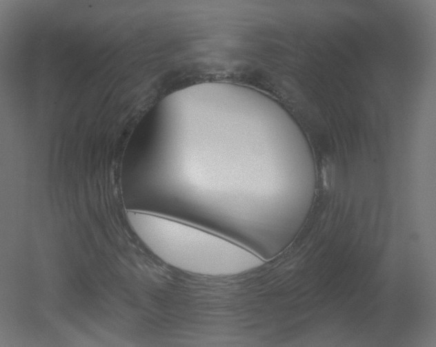 X0000051861347200506240951