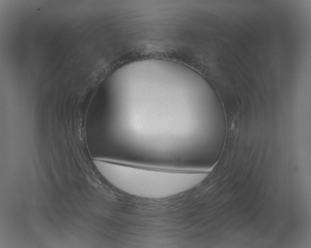 X0000051861348200506240951
