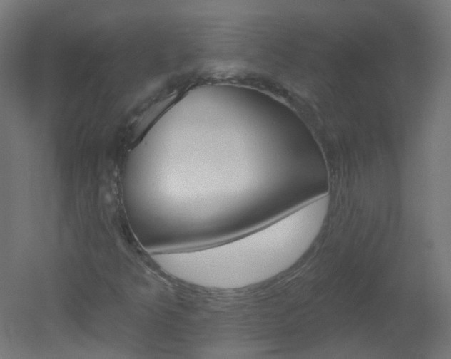 X0000051861349200506240951