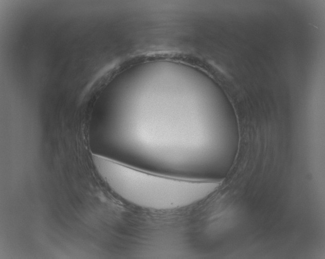 X0000051861351200506240951