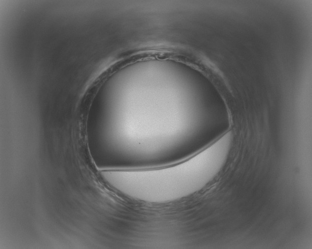X0000051861352200506240951
