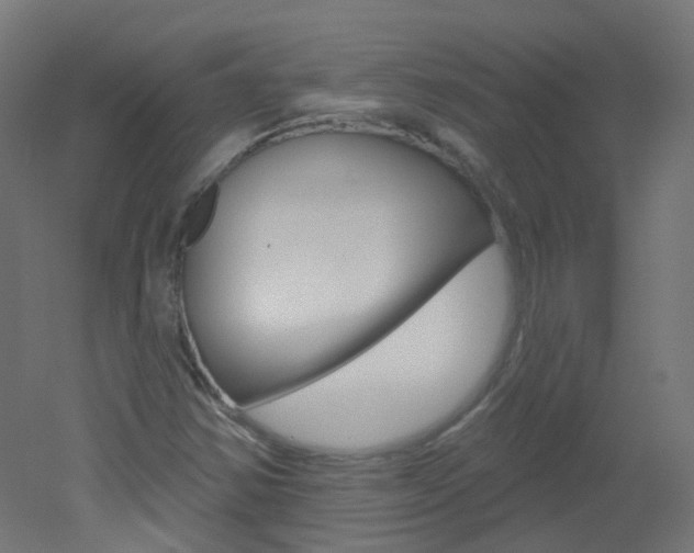 X0000051861354200506240951