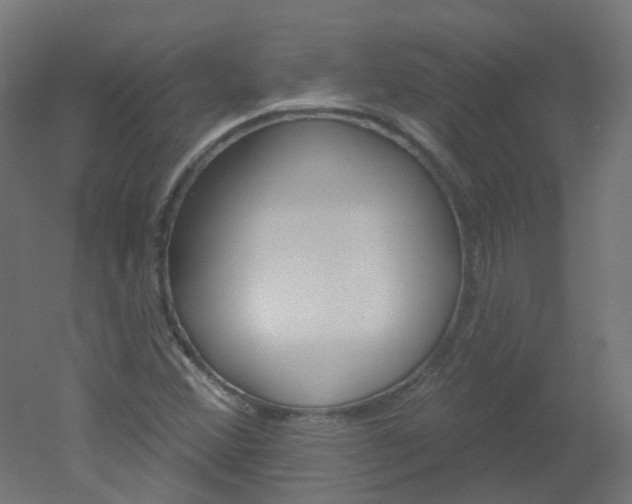 X0000051861356200506240951