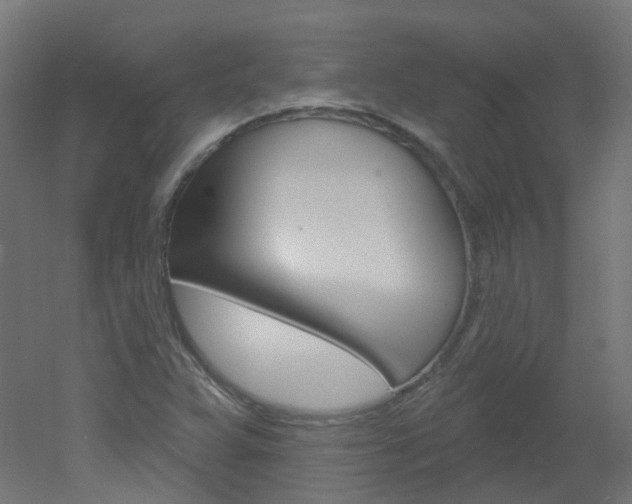X0000051861359200506240951