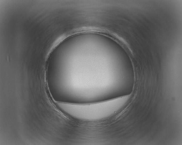 X0000051861365200506240951