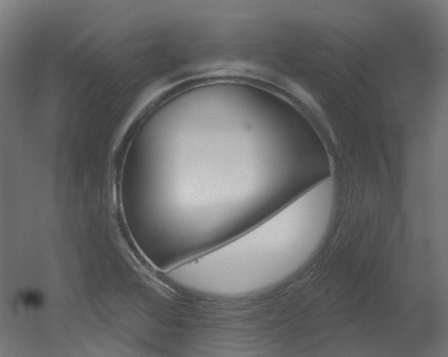 X0000051861368200506240951