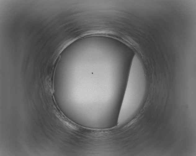 X0000051861369200506240951