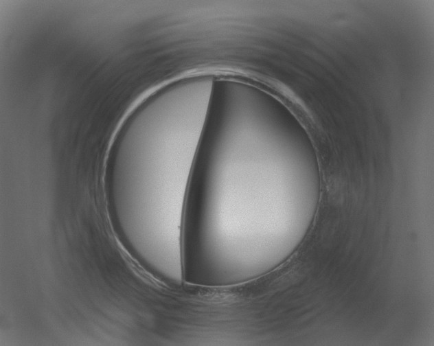 X0000051861372200506240951