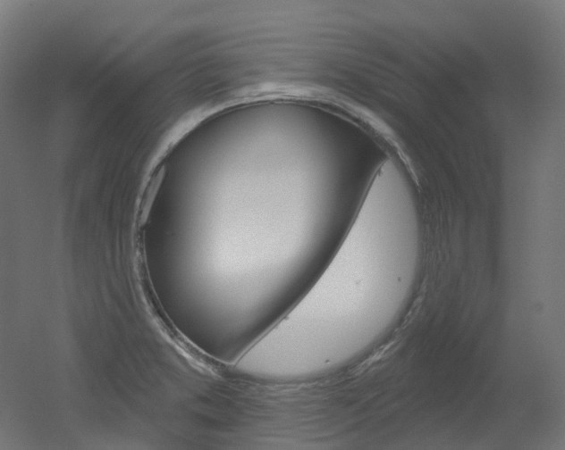 X0000051861373200506240951