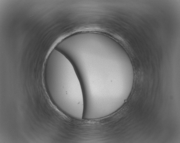 X0000051861374200506240951