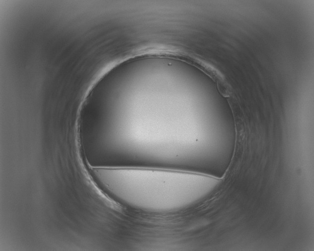 X0000051861375200506240951