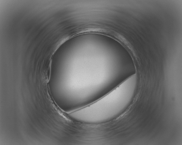 X0000051861377200506240951