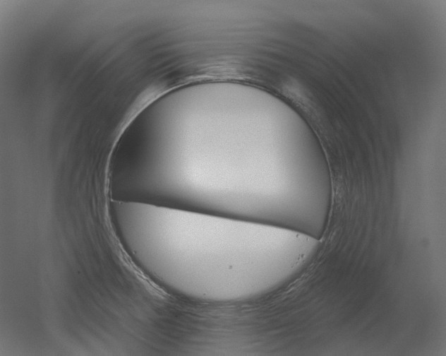 X0000051861378200506240951