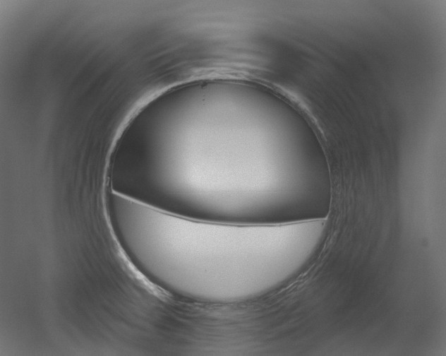 X0000051861379200506240951