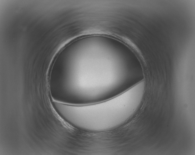 X0000051861380200506240951