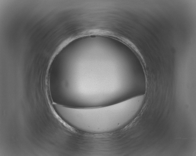 X0000051861381200506240951