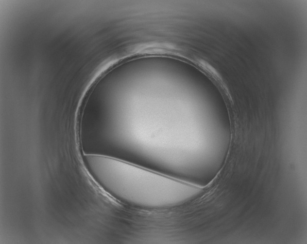 X0000051861384200506240951