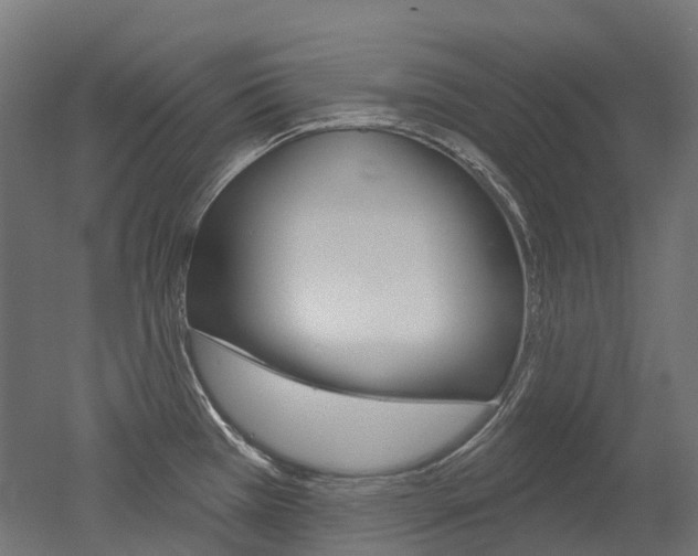 X0000051861385200506240951