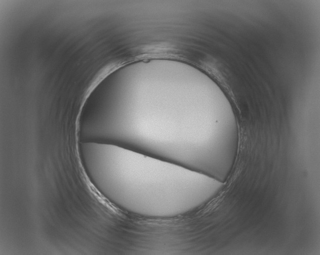 X0000051861386200506240951