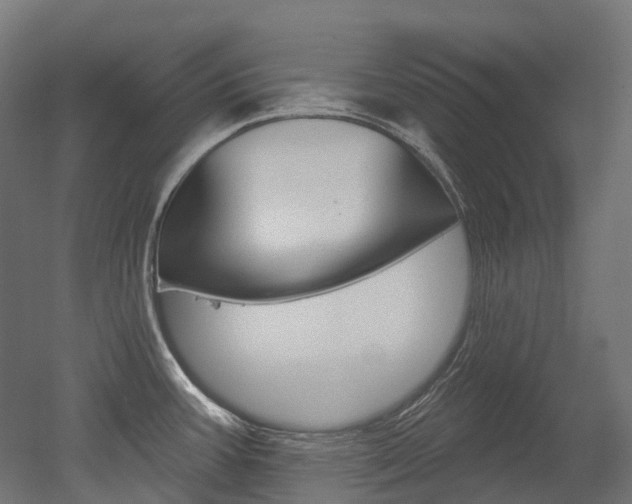 X0000051861387200506240951