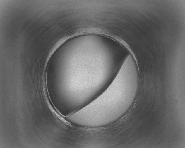 X0000051861389200506240951