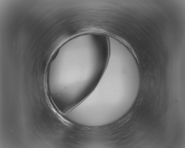 X0000051861391200506240951