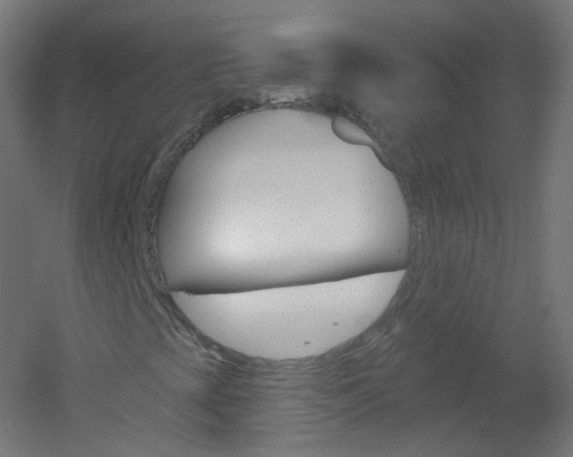 X0000051861393200506240950