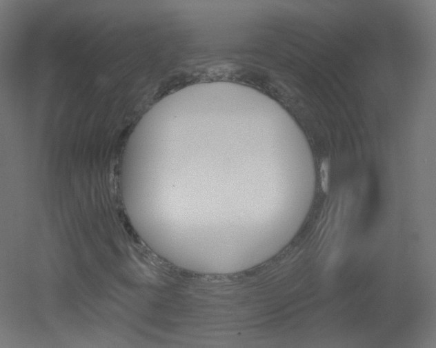 X0000051861395200506240950