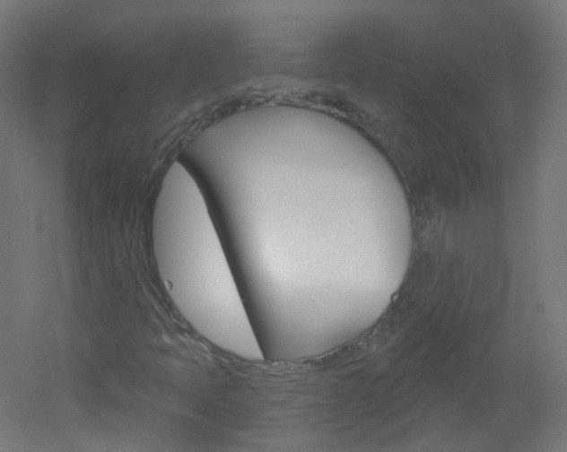 X0000051861397200506240950