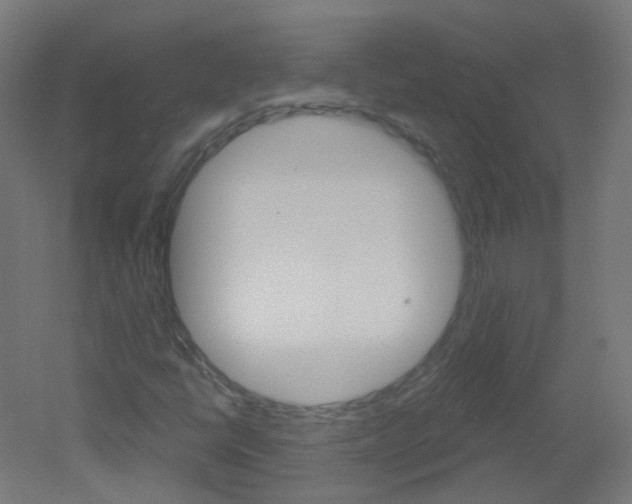 X0000051861398200506240950