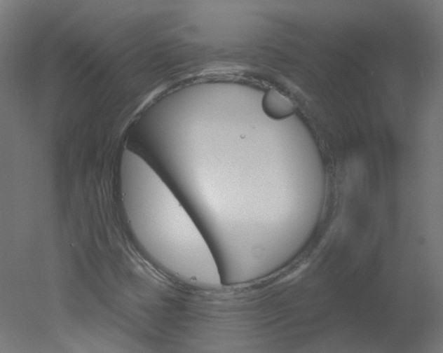 X0000051861401200506240950